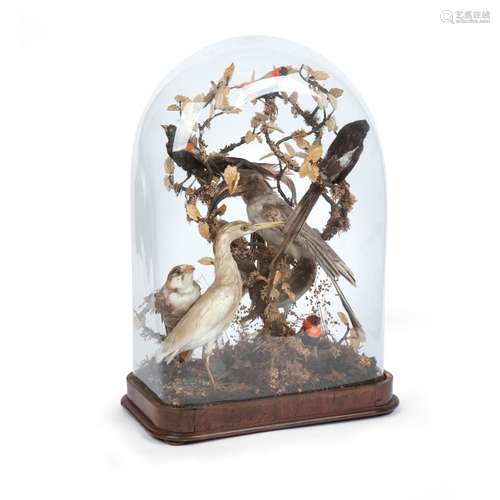 A VICTORIAN TAXIDERMY ORNITHOLOGICAL DISPLAY