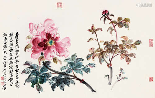 张大千（1899～1983） 1980年作 芍药图 镜片 设色纸本