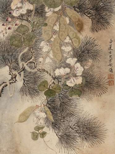 方婉仪（1732～1779） 豆荚松树 镜片 设色纸本