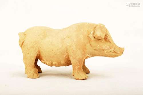 A POTTERY MODEL OF PIG.C347