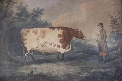 After John Boultbee (British, 1753-1812), The Durham Ox, Eng...