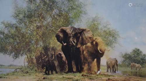 David Shepherd signed limited edition(405/1300) Elephants an...