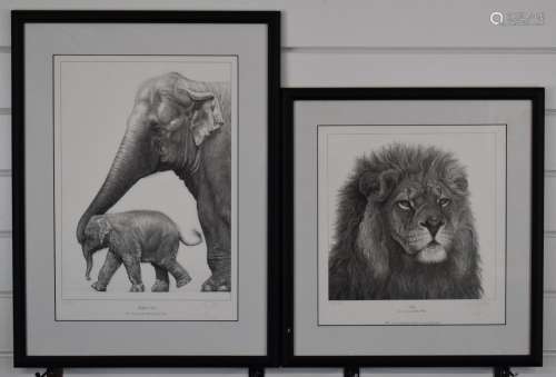 Gary Hodges (b1954) signed limited edition prints Lion (752/...