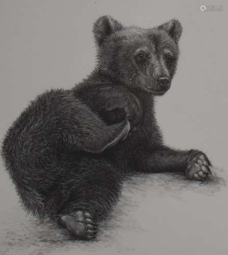 Gary Hodges (b1954) signed limited edition print, Brown Bear...