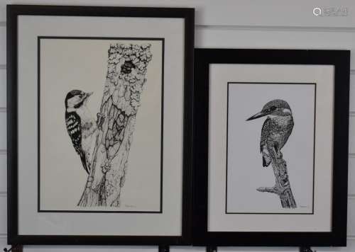 Paul Stratton two pen and ink drawings of birds, both signed...