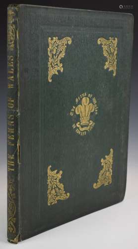 [Botany] The Ferns of Wales by Edward Young printed & pu...