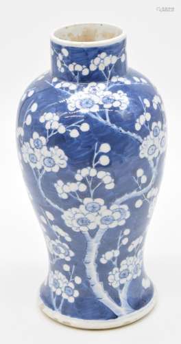 Chinese 19thCblue and white prunus vase with Kangxi characte...