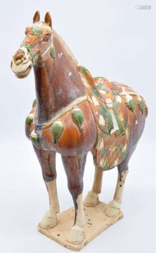 Chinese Tang style pottery polychrome horse, H67cm