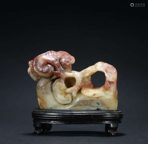 A Shou shan stone Ganoderma lucidum