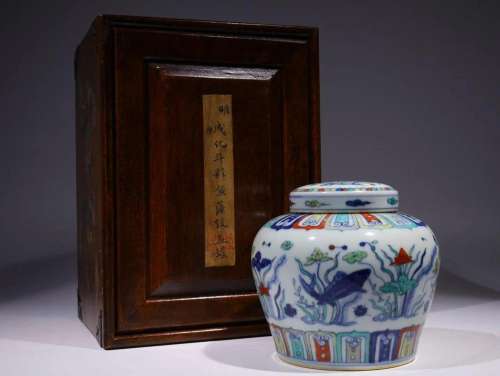 Ming Dynasty - Doucai 'Fish algae' Lidded Jar