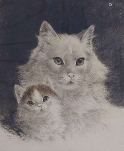 Kurt Meyer-Eberhardt (1895-1977), coloured etching, Cat and ...