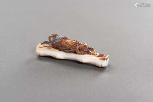 A CARNELIAN AGATE CARVING OF A CICADA