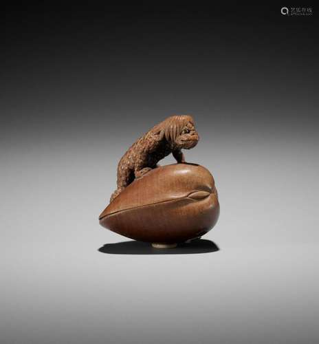 SUKETADA: A RARE WOOD NETSUKE OF A KAPPA ON A HAMAGURI