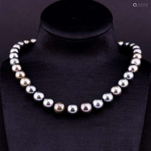 TAHITIAN PEARL NECKLACE 14KT W/ AIGL CERTIFIED