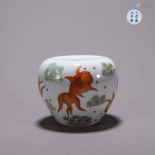A famille rose fish and seaweed porcelain water pot