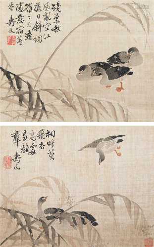 边寿民（1684-1752） 芦雁二帧
