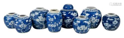 Eight Chinese Blue and White Prunus Blossom Ginger Jars