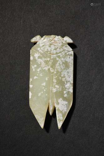 A Carved Jade Cicada