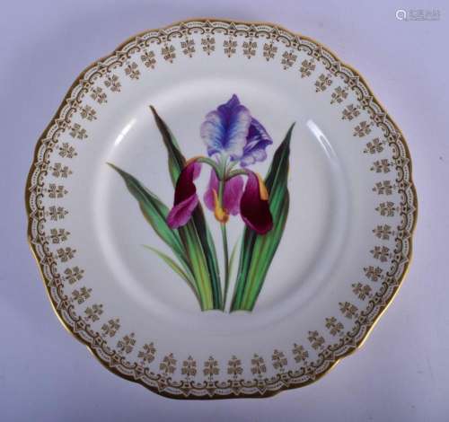 A 19TH CENTURY EUROPEAN PAINTED PORCELAIN BOTANICAL PLATE hi...