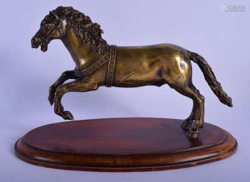 A FINE 18TH CENTURY EUROPEAN BRONZE FIGURE OF A ROAMING HORS...