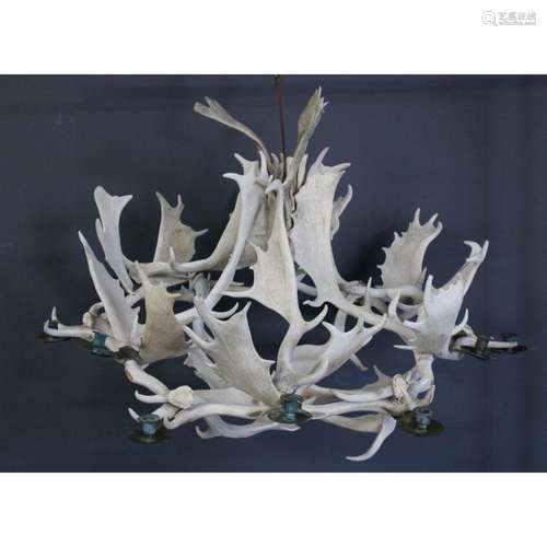 Large and Impressive Moose Antler Chandelier.