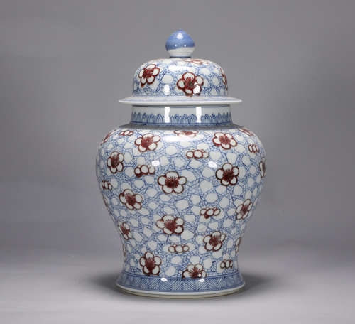 Qing Dynasty Kangxi blue and white underglaze red ice plum p...