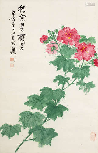 1910～1997  谢稚柳 1981年作 芙蓉 绘画 设色纸本 立轴