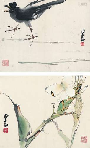 赵少昂（1905～1998） 八哥·姜花 （二帧） 镜片 设色纸本