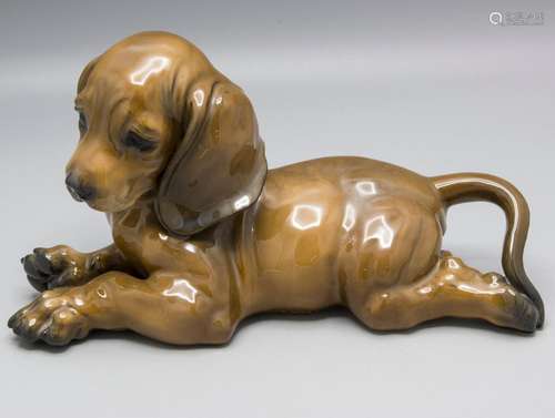 Liegender Dackelwelpe / A lying dachshund puppy, Fritz Heide...