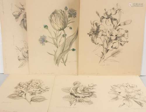 Maria Windisch, 9 Blumenzeichnungen / 9 flower drawings, 190...