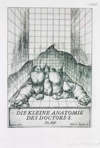 Oldrich Kulhanek (1940-2013), 'Die kleine Anatomie des ...