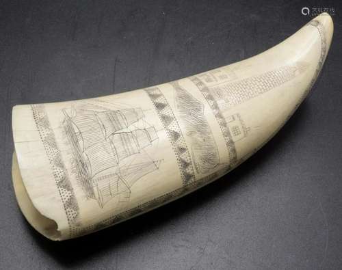 Walzahn / A whale tooth, wohl England, 19. Jh.