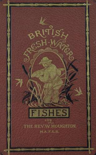 William Houghton: British fresh water-fishes, Division II, 1...