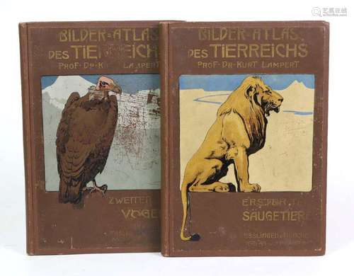 Bilder-Atlas des Tierreiches