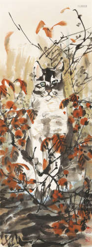 黄胄（1925～1997） 猫 镜心 设色纸本