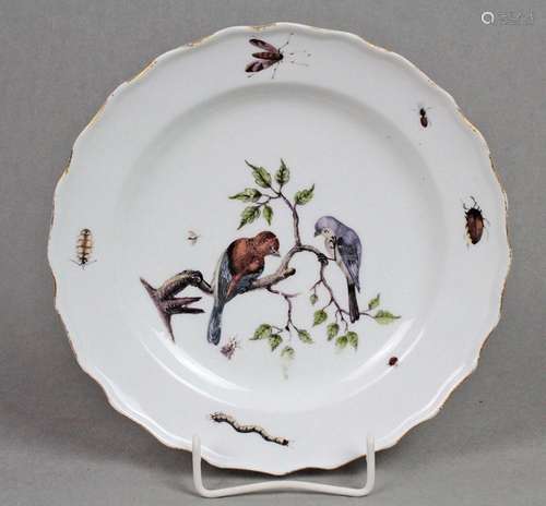 Meissen Teller *Vogelmotiv* um 1745