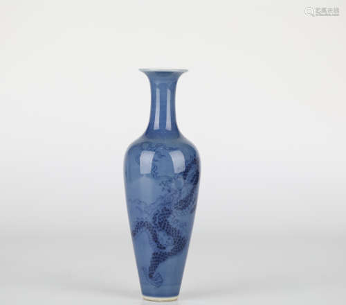 Chinese Dragon Porcelain Bottle，19th