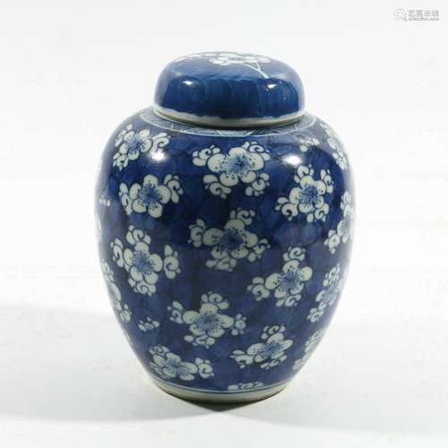 Porcelain Prunus Covered Jar, China