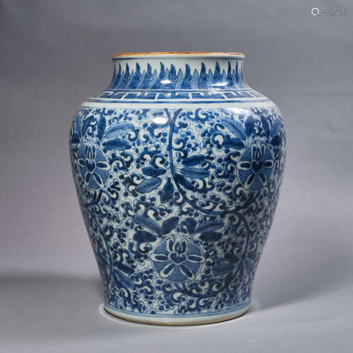 A Chinese Porcelain Blue and White Bird Jar