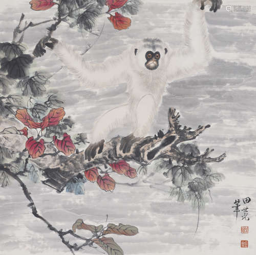 The Monkey，Painting by Tian Shiguang