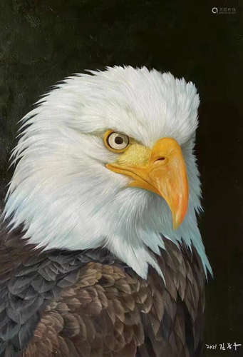 Eagle, Oil Painting