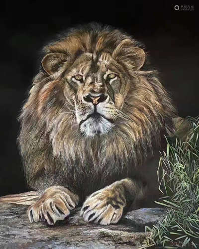 Lion, Oil Painting