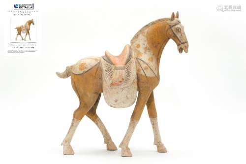 Pottery Walking Horse, Tang Dynasty