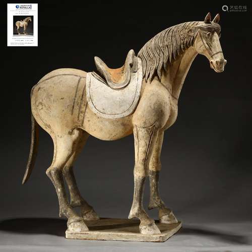 Super large Tang tomb pottery horse