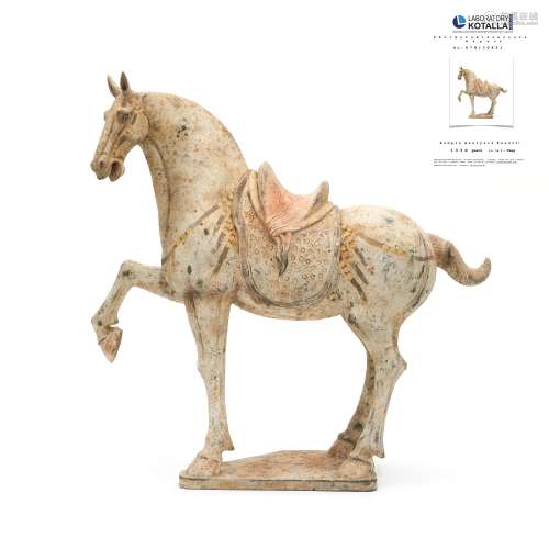 Large Tang painted pottery Prancing horse