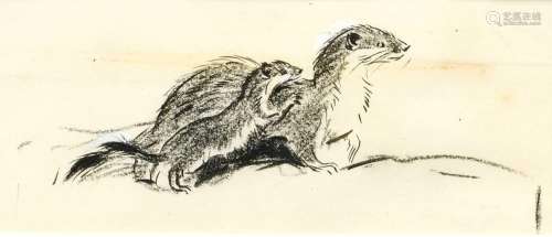 Eileen Soper RMS, SWLA (1905-1990) A mother stoat and her yo...