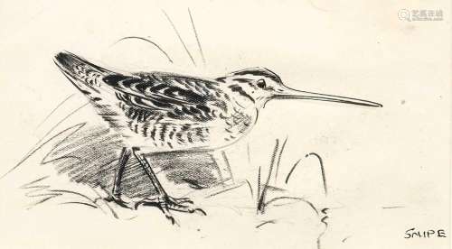 Eileen Soper RMS, SWLA (1905-1990) Snipe Pencil and charcoal...
