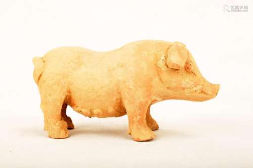 A POTTERY MODEL OF PIG.C347