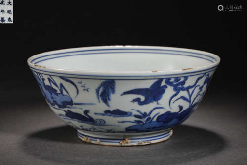 Ming Dynasty blue and white flower and bird big bowl