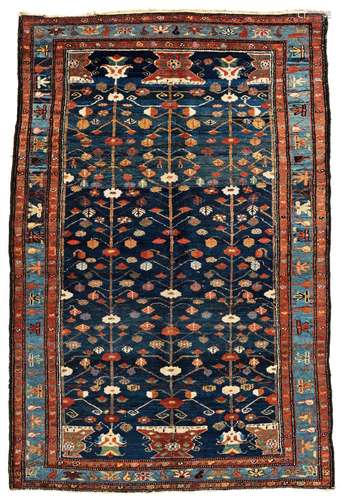 Koliali Rug